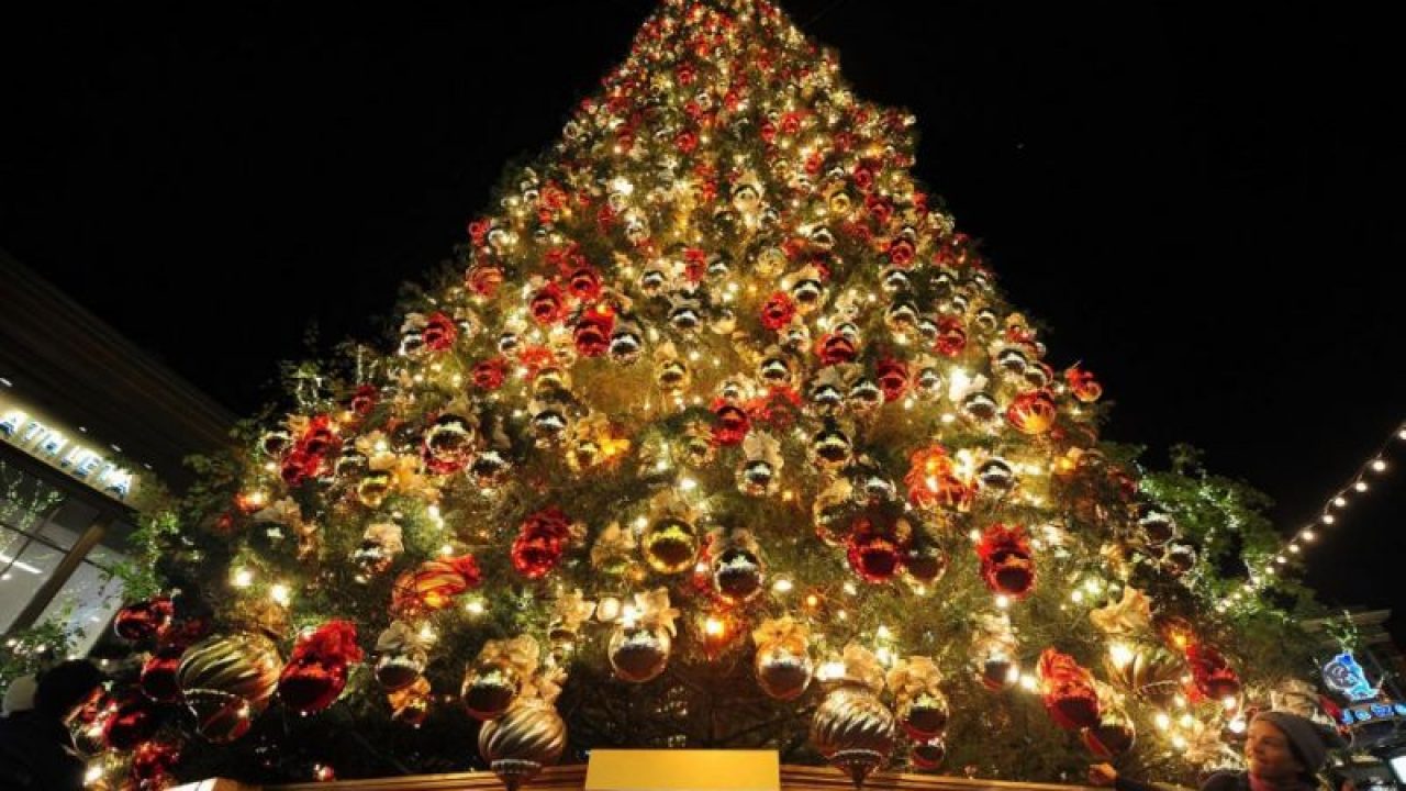 Alberi Di Natale Prezzi.I Migliori Alberi Di Natale Prezzi E Offerte