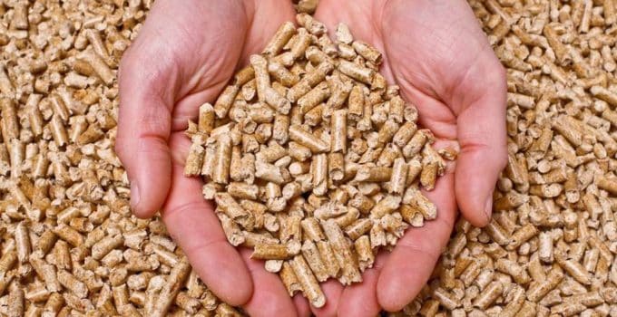 pellet-offerte